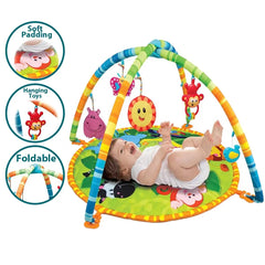 Baby Play gym Mat with Hanging Toys