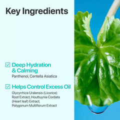 Numbuzin No. 1 Pure-Full Calming Herb Toner – 300 ml