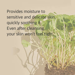 Mixsoon Centella Cleansing Foam – 150 ml
