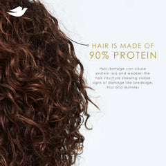 Dove Argan Oil & Repair Damage Therapy Shampoo - 355ml