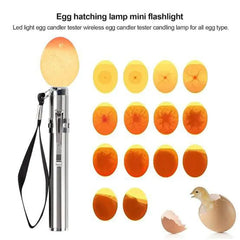 Stainless Steel Egg Candling Torch