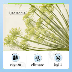 BIOAQUA Sea Fennel Hyaluronic Acid Moisturizing Face Cream - 60g