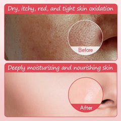 BIOAQUA Pomegranate Rejuvating Hydrating Facial Mask - 25g - Each