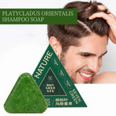 Nature Triangle Shampoo Bar - 120g