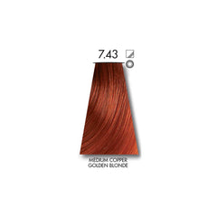 Keune Tinta Colors – 60ml Each