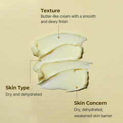 Torriden Solid In Cream - 70ml