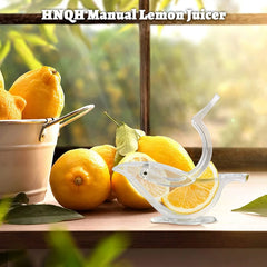 Acrylic Lemon Slice Juicer Manual Lemon Juicer