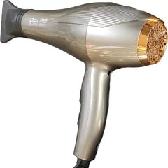 Daling DL-3028 Hair Dryer (2200 W, Silver)