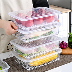 Clear Plastic Food Storage Box with Drain Tray & Lid
