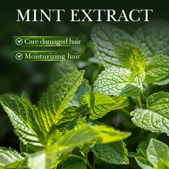 Sadoer Rosemary Mint Strengthens Repair Hair Oil - 55ml