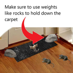 Super Glue Rat Magic Carpet