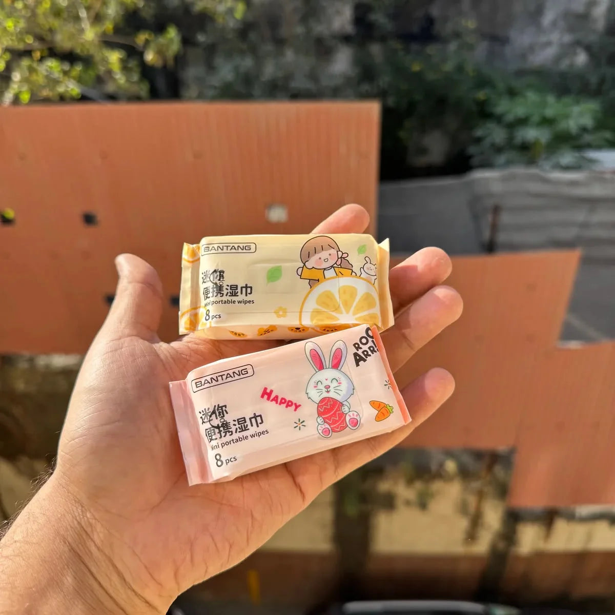 Bantang Mini Portable Makeup Wipes - 8Pcs