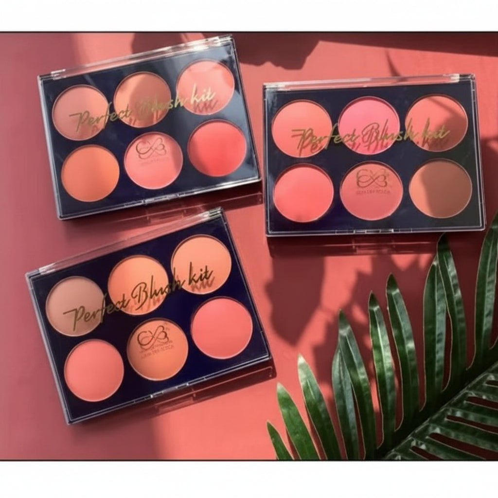 CVB Blush & Contour Kit – Sculpting & Radiant Face Makeup Palette