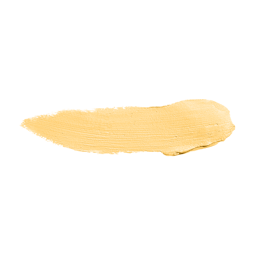 Color Institute Foundation Stick