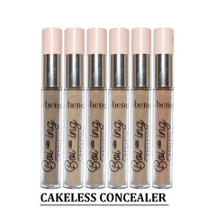 Flawless Face Essentials – 8-in-1 Makeup Kit