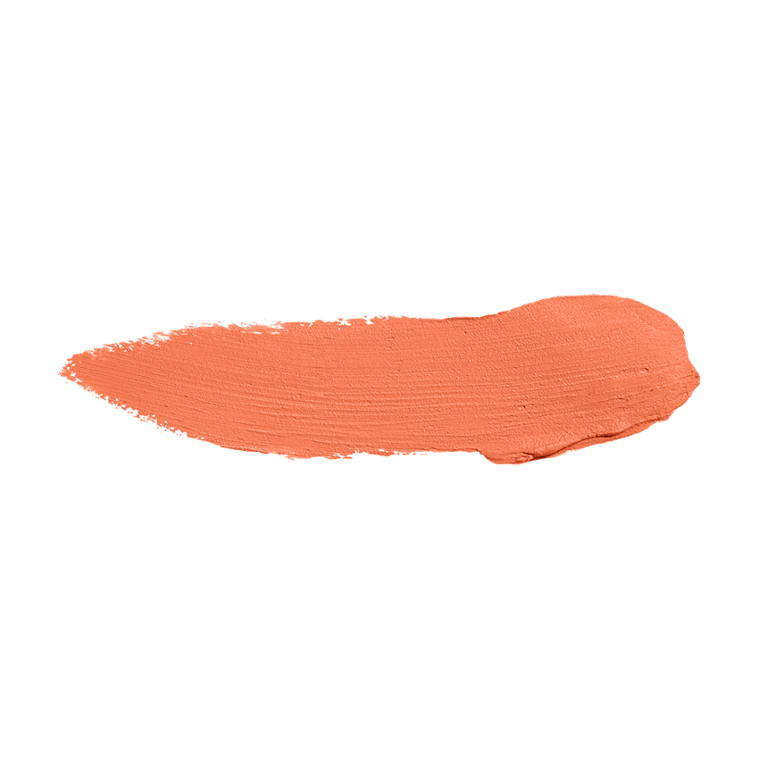 Color Institute Foundation Stick