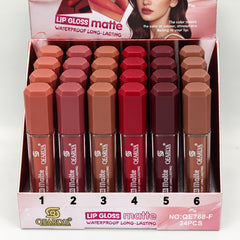 Qearlya Matte Lip Gloss