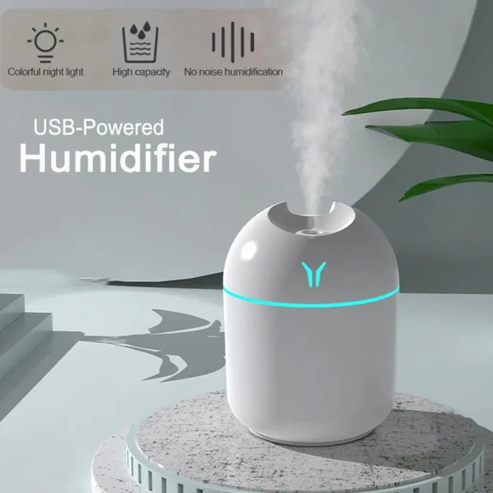 Portable Mini Air Humidifier