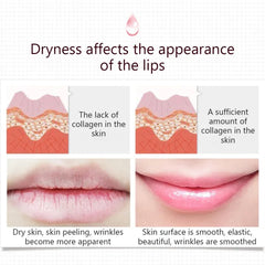 BIOAQUA Lip Care Keep Lip Lasting Moisture Replenishment Lip Sleeping Mask – 20g