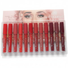 Anthaway Matte Lip Gloss Pack of 12
