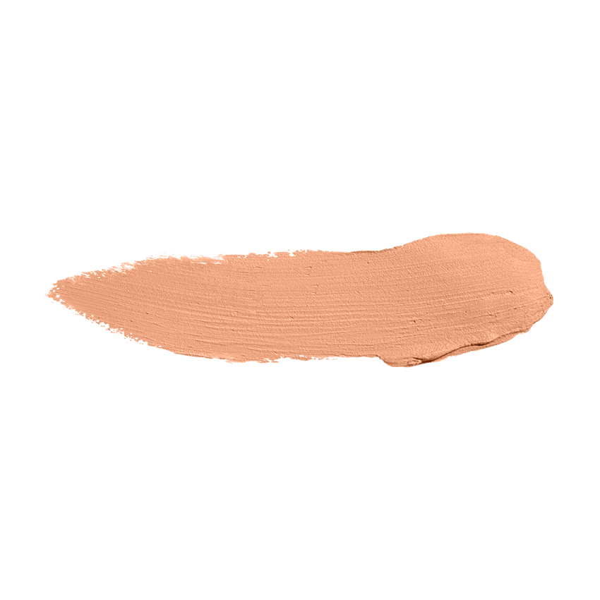Color Institute Foundation Stick