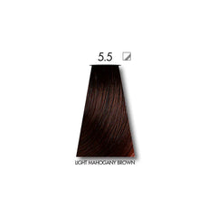 Keune Tinta Light Mahogany Brown 5.5 with Keune Developer 20 Volume - 60 ml