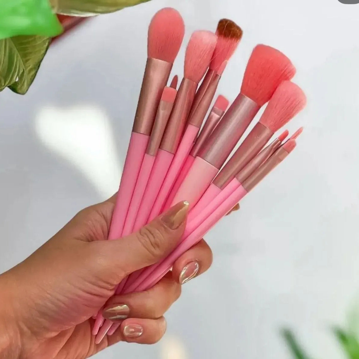 13pcs Makeup Brush Set