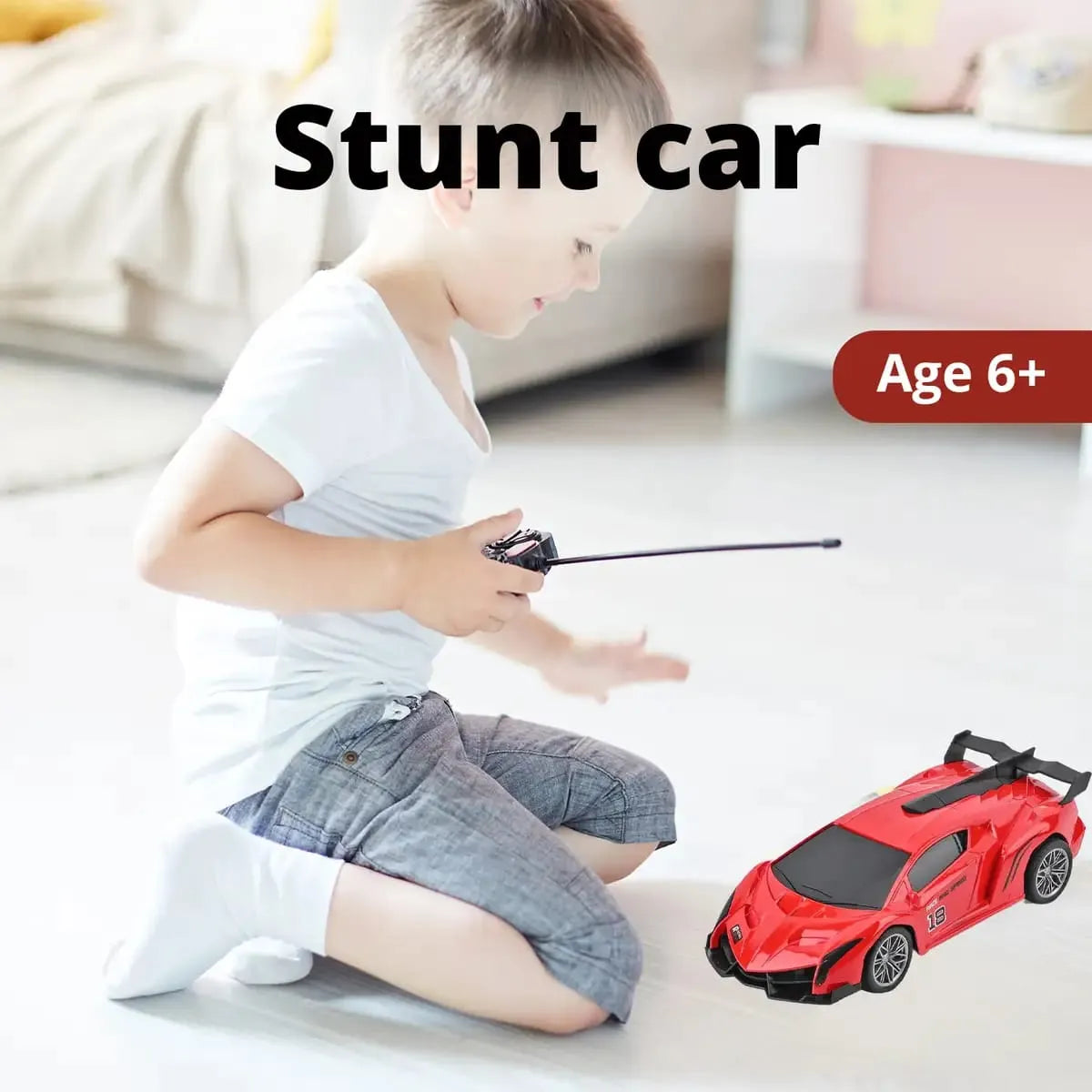 Rechargeable Spray Car with Remote Controller