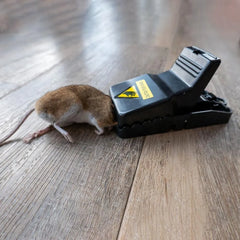 Heavy Duty Plastic Mouse Trap
